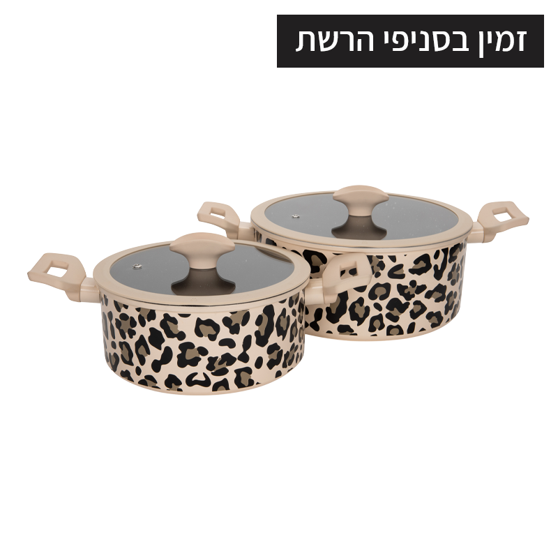 זוג סירים 20+24 ס
